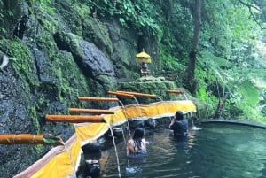 Viaje de Sanación del Karma en el Corazón de Bali