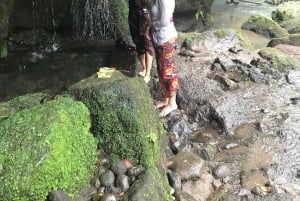 Viaje de Sanación del Karma en el Corazón de Bali
