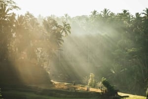 Vandringsresa i byn Kastala Tenganan