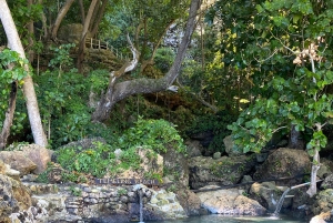 Kelingking Beach and Tembeling Beach hidden gem, Tour