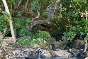 Kelingking Beach and Tembeling Beach hidden gem, Tour