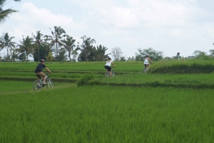 Kintamani Culture and Nature Guided Cycling Tour
