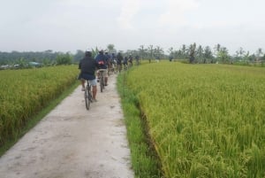 Kintamani Culture and Nature Guided Cycling Tour