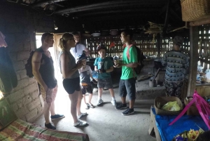 Kintamani Culture and Nature Guided Cycling Tour