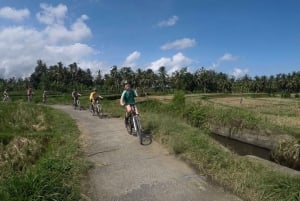 Kintamani Culture and Nature Guided Cycling Tour