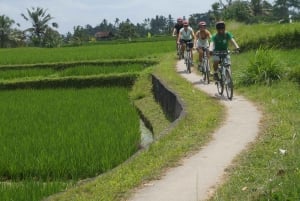 Kintamani Culture and Nature Guided Cycling Tour