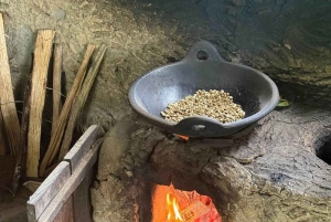 Kintamani: Jeep Tour & River Tubing with coffee plantation