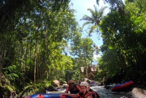 Kintamani: Jeep Tour & River Tubing with coffee plantation
