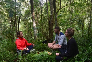 Kintamani: Sunrise Yoga, Meditation, Earth & Water Rituals