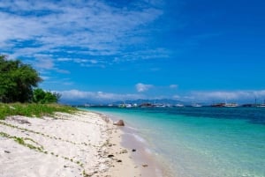 Wyspa Komodo: Prywatna 3-dniowa wycieczka z pobytem w hotelu i łodzią