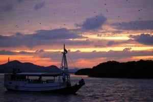 Isla de Komodo: Tour privado de 3 días con estancia en barco y hotel