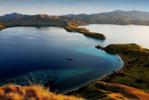Komodo Island: Private 4-Day Boat Trip with Lodging & Meals
