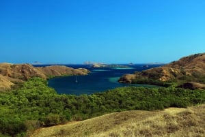 Komodo Islands: Private 2-Day Tour on a Wooden Boat