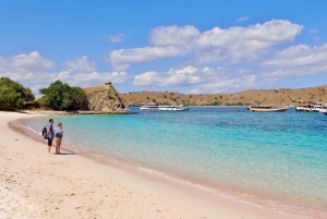 Komodo Islands: Private 2-Day Tour with Boat Stay