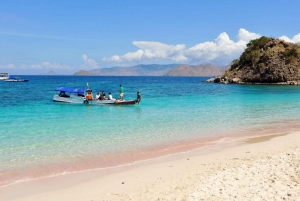 Komodo Islands: Private 2-Day Tour with Boat Stay