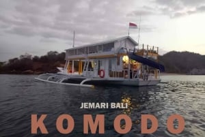 Komodo Tour: 4 Day Private Tour with Overnight Boat & Hotel
