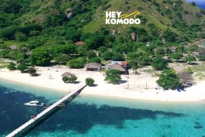 Labuan Bajo: Komodo Island 6 Spots Speedboat Tour with Lunch