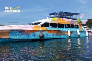 Labuan Bajo: Komodo Island 6 Spots Speedboat Tour with Lunch