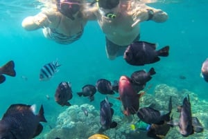 Labuan Amuk Bali: snorkeling tour with traditional boat