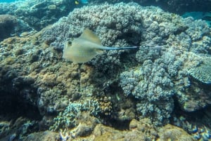 Labuan Amuk Bali: snorkeling tour with traditional boat