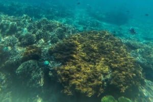 Labuan Amuk Bali: snorkeling tour with traditional boat