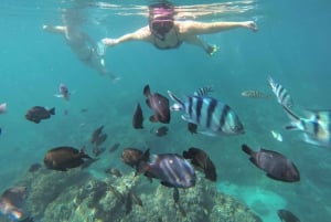 Labuan Amuk Bali: snorkeling tour with traditional boat