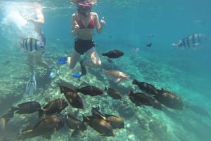 Labuan Amuk Bali: snorkeling tour with traditional boat