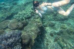 Labuan Amuk Bali: snorkeling tour with traditional boat