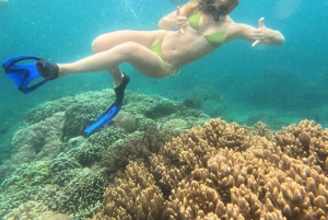 Labuan Amuk Bali: snorkeling tour with traditional boat