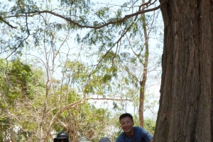 Labuan Bajo: 3-Day Komodo Liveaboard Adventure with VIP Boat