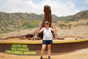 Labuan Bajo: 3-Day Komodo Liveaboard Adventure with VIP Boat