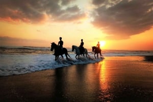 Langudu: Passeios a cavalo na praia e nos campos de arroz