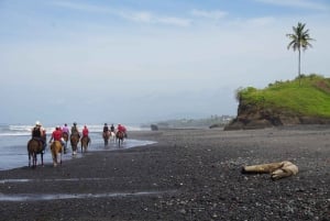 Langudu: Jazda konna na plaży i na polach ryżowych