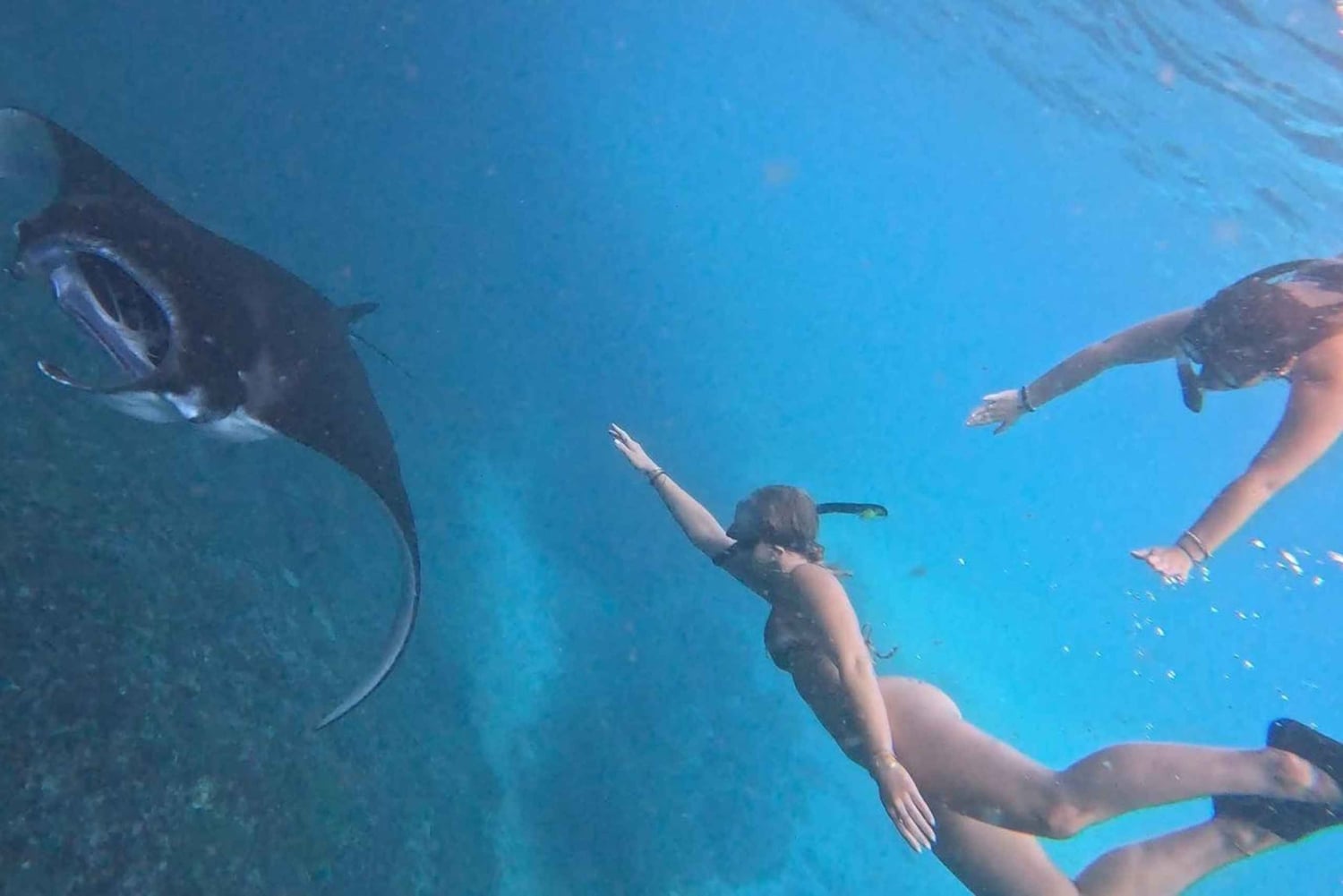 レンボンガン：マンタベイ、タートルベイ、ガマットベイでシュノーケリングをお楽しみください