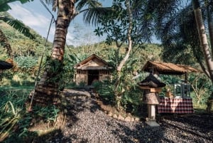 Lokasari: Kaffeeplantage-Tour, Kräutertee & reiner Honig