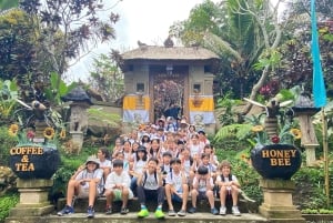 Lokasari: Kaffeeplantage-Tour, Kräutertee & reiner Honig