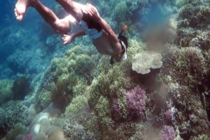 Lombok: 2-Day Whale Shark Tour with Camping & BBQ