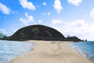 Lombok: 2-Day Whale Shark Tour with Camping & BBQ