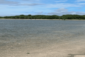 Lombok: 2-Day Whale Shark Tour with Camping & BBQ