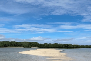 Lombok: 2-Day Whale Shark Tour with Camping & BBQ