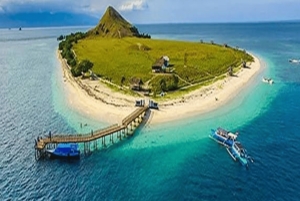 Lombok: 2-Day Whale Shark Tour with Camping & BBQ