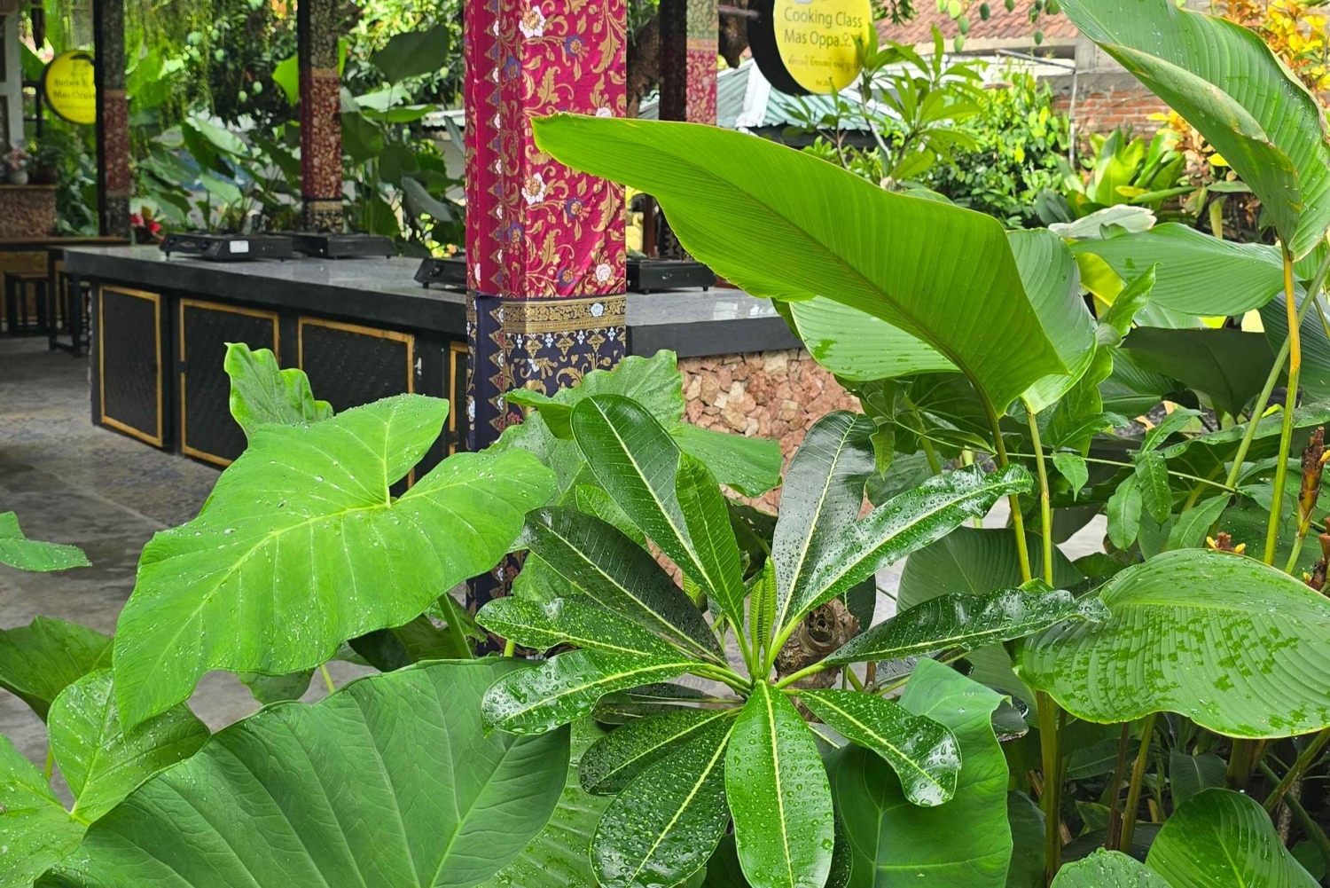 Lombok Cooking Class by Mas Oppa