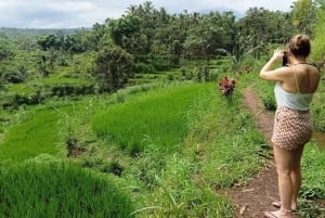 Lombok: Viagem particular personalizada - Aluguel de carro com motorista-guia