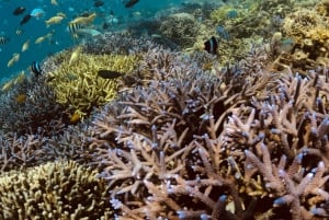 Lombok: Viagem particular personalizada - Aluguel de carro com motorista-guia