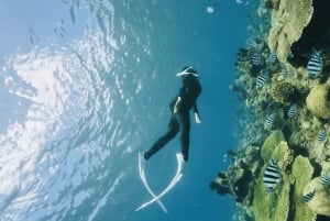 Lombok: Viagem particular personalizada - Aluguel de carro com motorista-guia