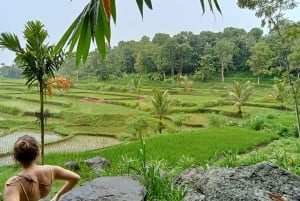 Lombok: Wypożycz prywatny samochód z kierowcą-przewodnikiem