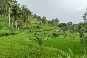 Lombok: Wypożycz prywatny samochód z kierowcą-przewodnikiem