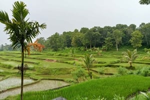 Lombok: Wypożycz prywatny samochód z kierowcą-przewodnikiem