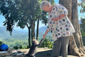Lombok Heritage & Harmony – Explore Culture and Faith