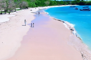 Lombok: Pink Beach, Gili Petelu & Private Snorkeling Tour